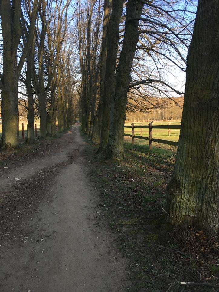 Cyklostezka Kamenice